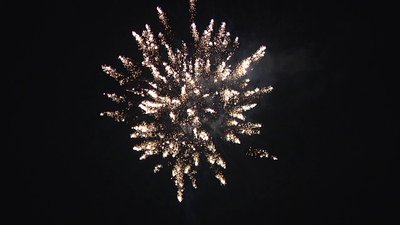 #25651 盆花1.2 36发数