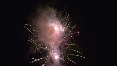 #25659 盆花0.7 100发数