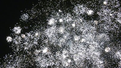 #25655 盆花1.0 25发数