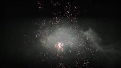 #24937 Module Cakes 0.8 25 shots