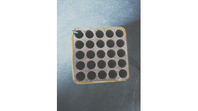 #24937 Module Cakes 0.8 25 shots