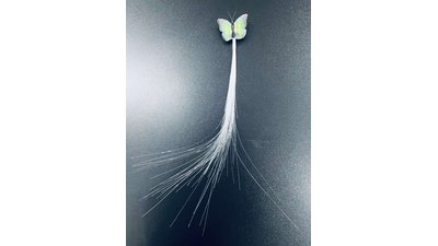 #25838 LED Clip Hair