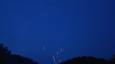 #14526 Cakes 0.3 200 shots