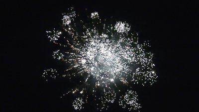 #25758 Cakes 0.8 10 shots