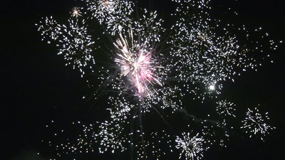 #25248 Module Cakes 1.1 19 shots