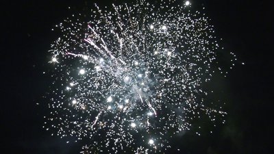 #25249 Module Cakes 1.1 25 shots