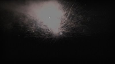 #25866 Cakes 0.8 25 shots