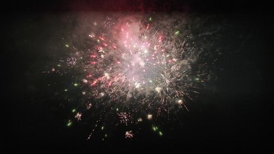 #25856 盆花1.0 16发数