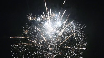 #25696 Module Cakes 1.2 19 shots