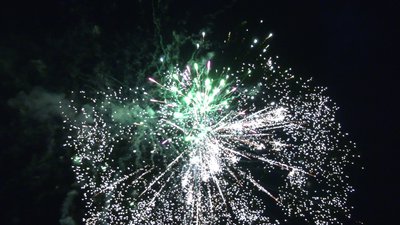 #25712 Module 盆花1.2 25发数