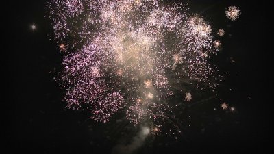 #25870 盆花0.8 36发数