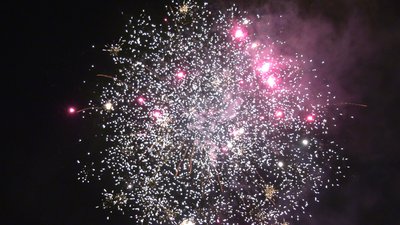 #25614 Module 盆花0.8 48发数