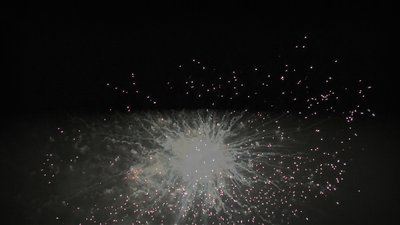 #25691 Module 盆花1.0 100发数