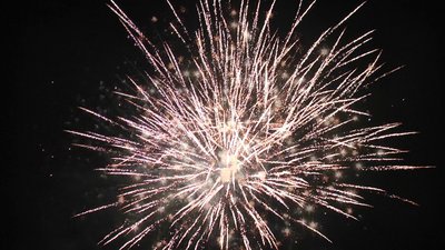 #25692 Module Cakes 1.0 100 shots