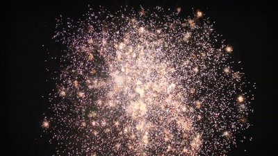 #25624 Module Cakes 1.0 100 shots