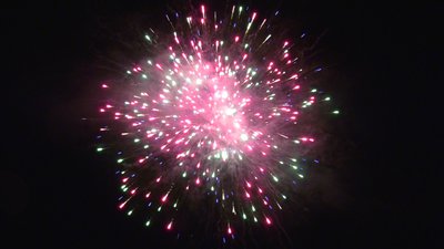 #25848 Tortas 1.2 25 tiros