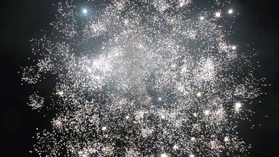 #25849 盆花1.2 49发数