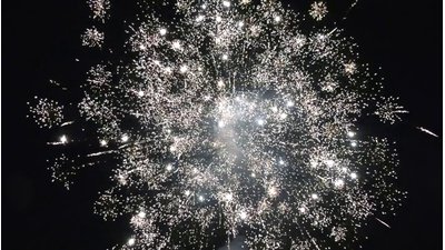 #25837 盆花1.2 200发数