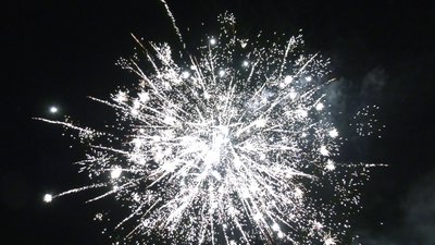 #25871 盆花1.0 48发数