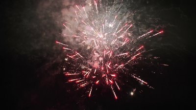 #25917 盆花1.0 49发数