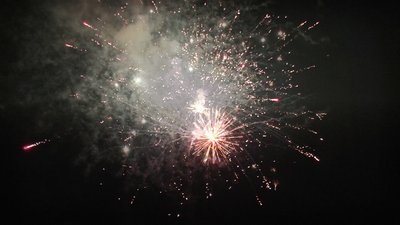 #25918 盆花1.2 49发数