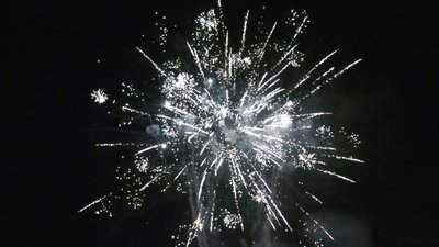 #25972 盆花1.0 102发数