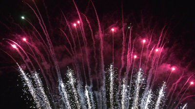 #25971 Cakes 0.8 121 shots