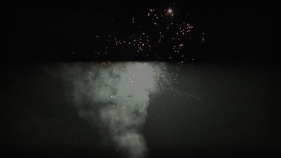 #26003 盆花98x0.8"/100x1.0"/16x1.2" 214发数