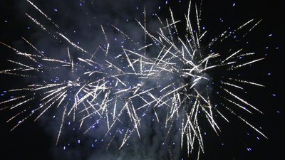 #26003 盆花98x0.8"/100x1.0"/16x1.2" 214发数