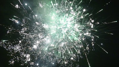 #26002 盆花50x0.8"/42x1.0"/24x1.2" 116发数