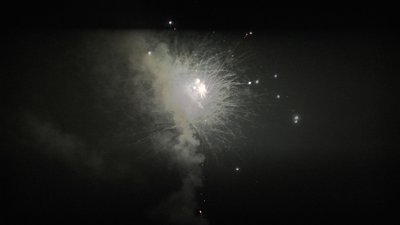 #26002 盆花50x0.8"/42x1.0"/24x1.2" 116发数