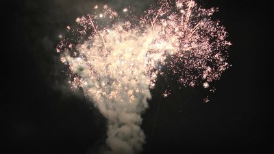 #26000 Cakes 1.2 100 shots