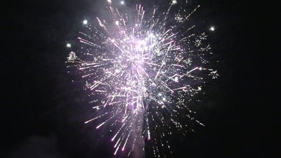 #25998 盆花1.0 144发数