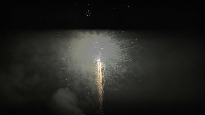 #25998 盆花1.0 144发数