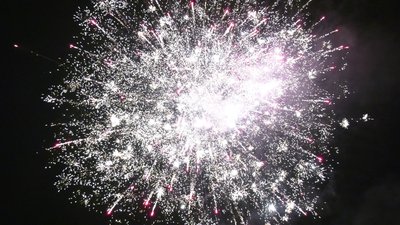 #25994 Cakes 40x0.8"/24x1.0"/14x1.2" 78 shots