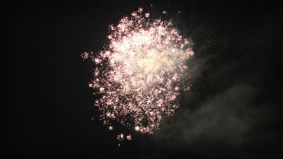 #25991 Cakes 1.2 25 shots