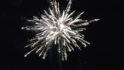 #26016 盆花44x1.0"/143x1.2" 187发数