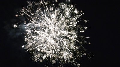 #26010 盆花1.2 58发数