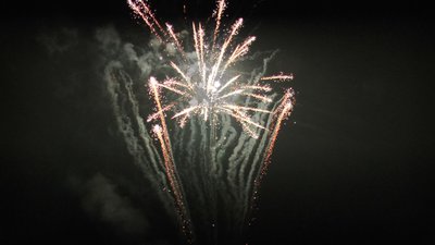 #26016 盆花44x1.0"/143x1.2" 187发数