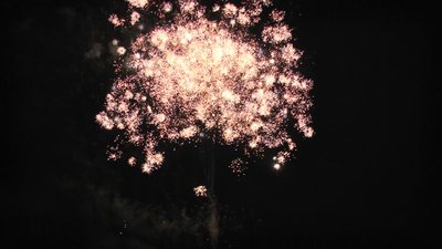 #26011 Tortas 1.2 25 tiros