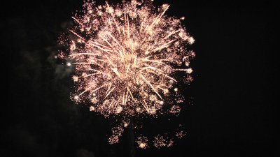 #26010 盆花1.2 58发数