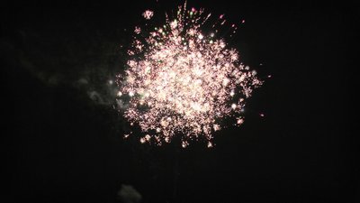 #25991 Cakes 1.2 25 shots