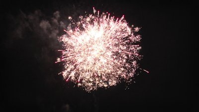 #25994 Cakes 40x0.8"/24x1.0"/14x1.2" 78 shots