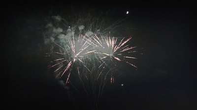 #25989 Tortas 0.8 50 tiros