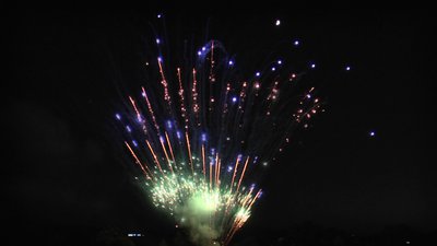 #26020 盆花0.8 130发数