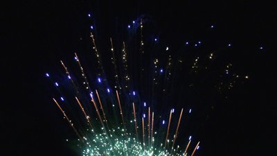 #26020 盆花0.8 130发数