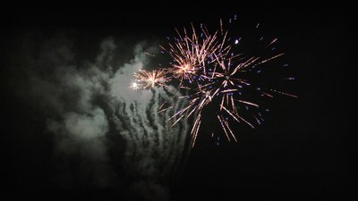 #26003 盆花98x0.8"/100x1.0"/16x1.2" 214发数