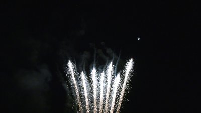 #26003 盆花98x0.8"/100x1.0"/16x1.2" 214发数