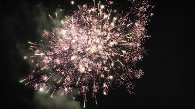 #26002 盆花50x0.8"/42x1.0"/24x1.2" 116发数