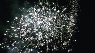 #26002 盆花50x0.8"/42x1.0"/24x1.2" 116发数